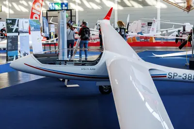 Allstar PZL Glider Szd-59 "Acro"