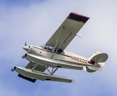 Aviat Aircraft A-1A