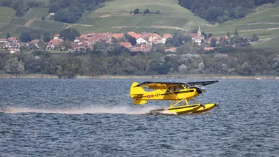 Aviat Aircraft Husky