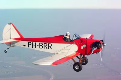 Bowers Fly Baby