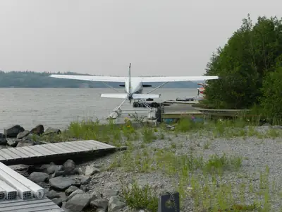 Cessna 185