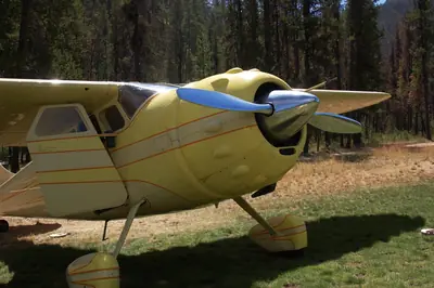 Cessna 195
