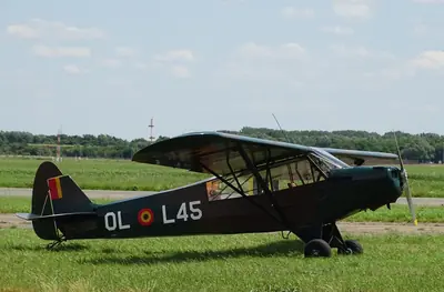 Cub Crafters PA-18 Top Cub
