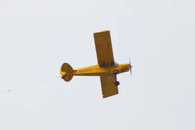 Cub Crafters PA-18 Top Cub