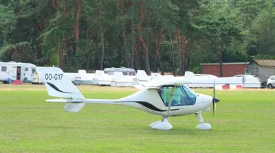 Fly Synthesis Storch