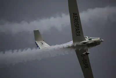 Grob G 109