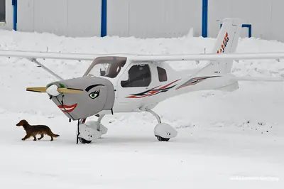 Jabiru J170