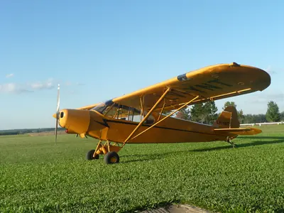 Piper PA 11