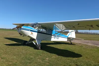 Piper PA 11