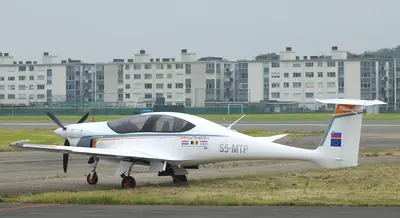 Pipistrel Panthera