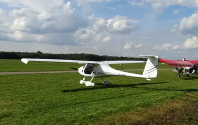 Pipistrel Virus