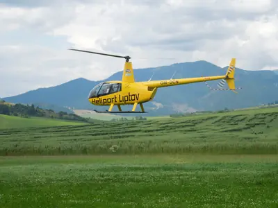 Robinson Helicopter R44