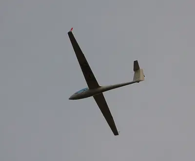 Schempp-Hirth Standard Cirrus