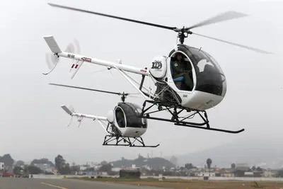 Schweizer 300C