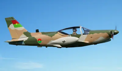 Siai-Marchetti SF-260