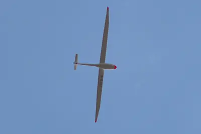 Stemme S10-V