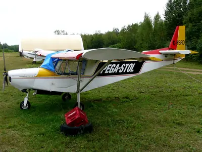 Tapanee Pegazair-100