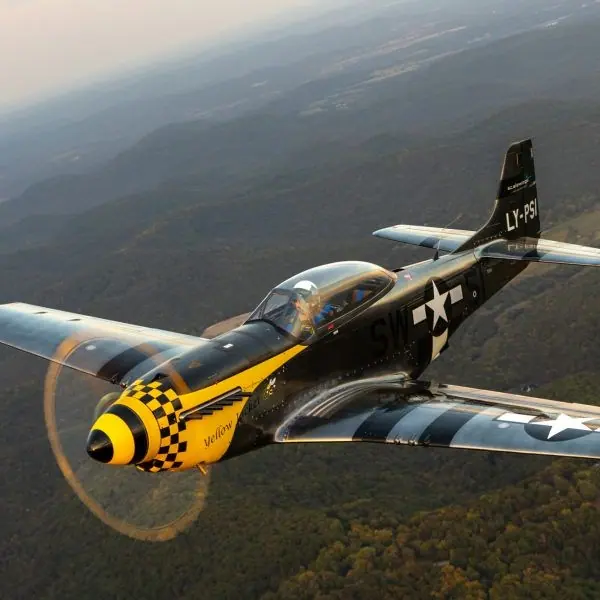 2023 Scalewings SW-51 Mustang