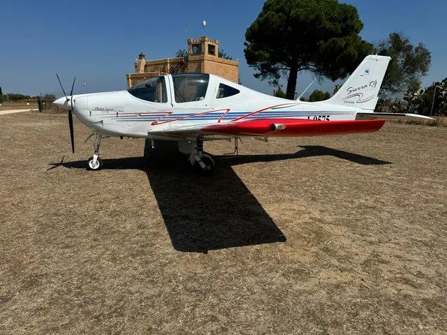 2009 Tecnam P2002 RG