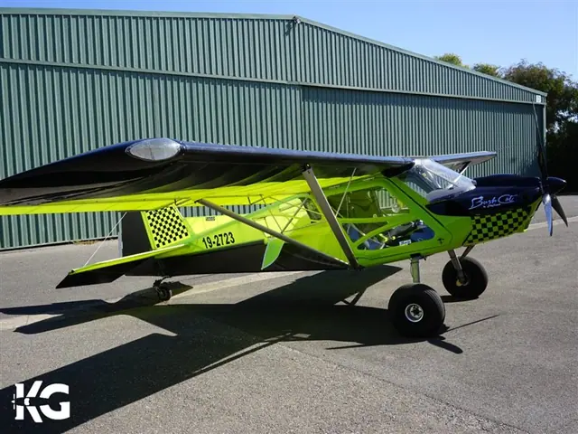 2021 Skyreach Bushcat Tailwheel