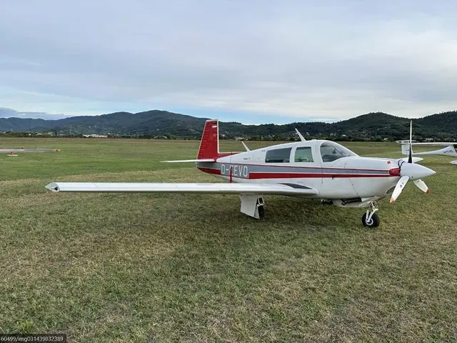 1979 Mooney M20J (D-EEVO)