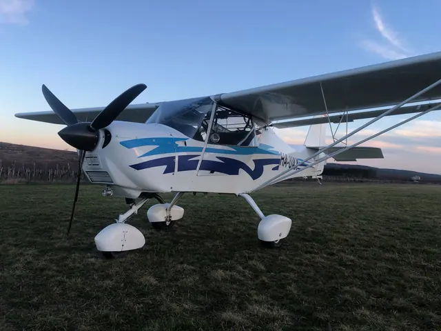 2010 Apollo Fox