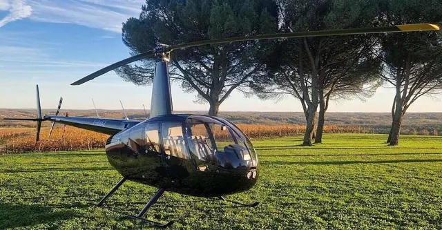 2010 Robinson R-44 Raven 1