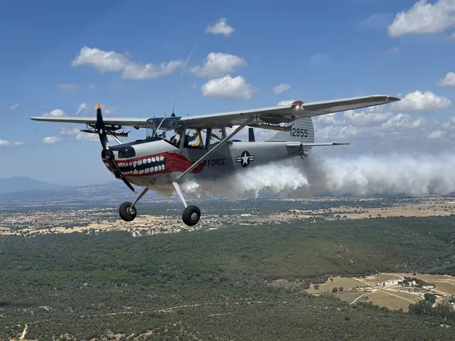 1960 1961 Cessna 305 Bird Dog