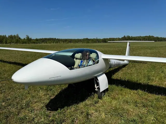 2007 Stemme S-10 VT