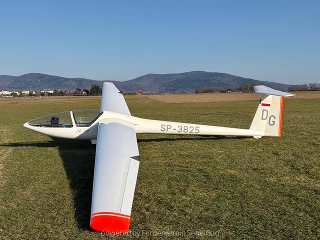 1974 DG Flugzeugbau DG-100