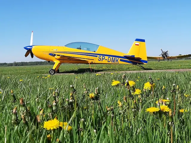 2008 Extra 330 LC in Poland