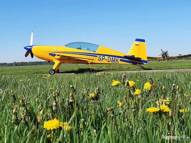2008 Extra 330LC