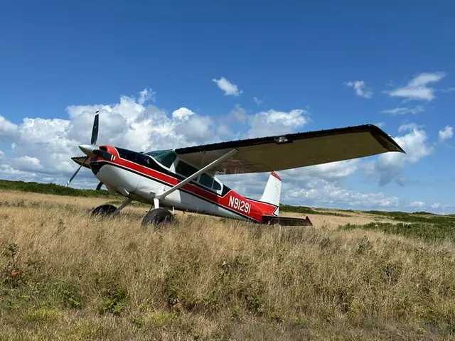 1969 Cessna 180H