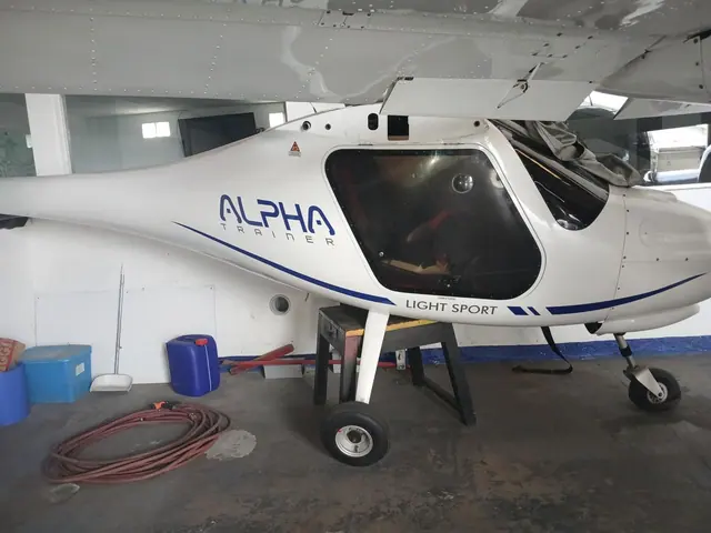 2019 Pipistrel Alpha Trainer