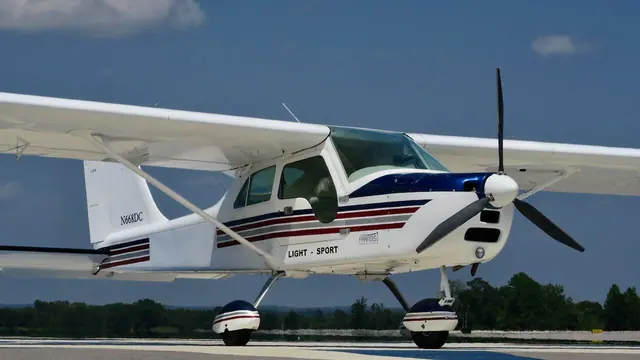 2009 Paradise P1