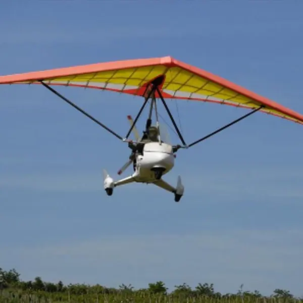 2023 New Apollo Aircraft C15 D Topless Wing