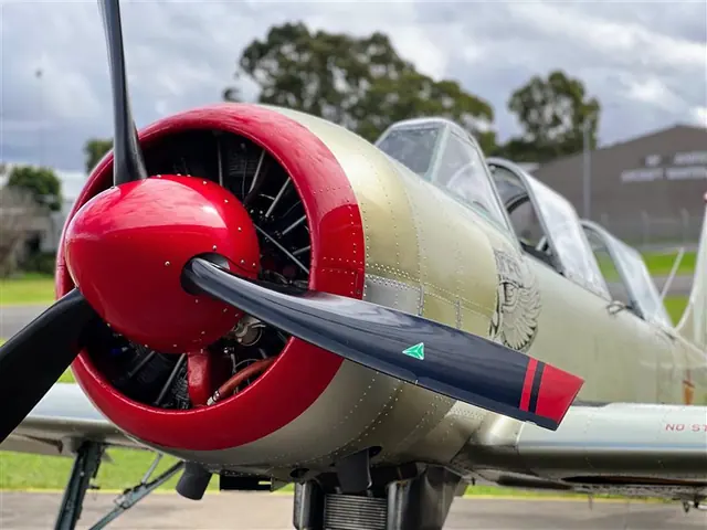 2004 Yakovlev Yak 52 Tailwheel