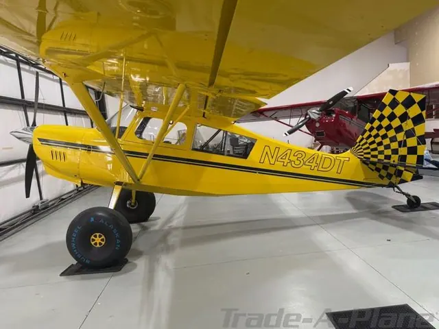 2008 American Champion 8-GCBC Scout