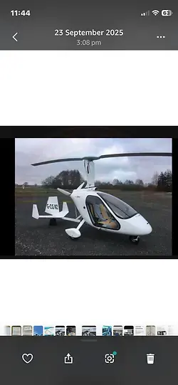 Magni M24 2010