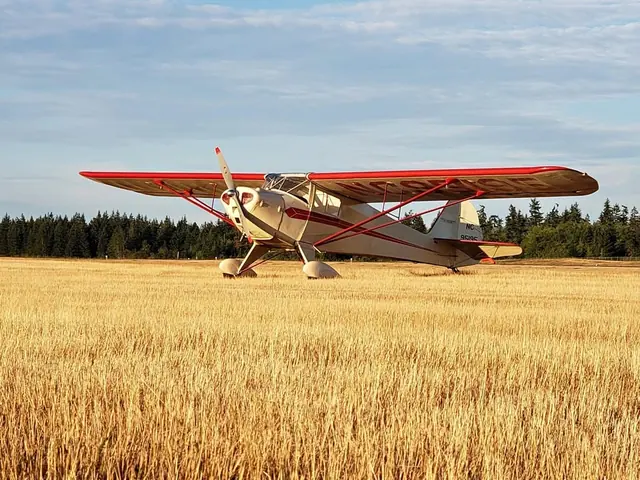 1946 Taylorcraft BC12D-85