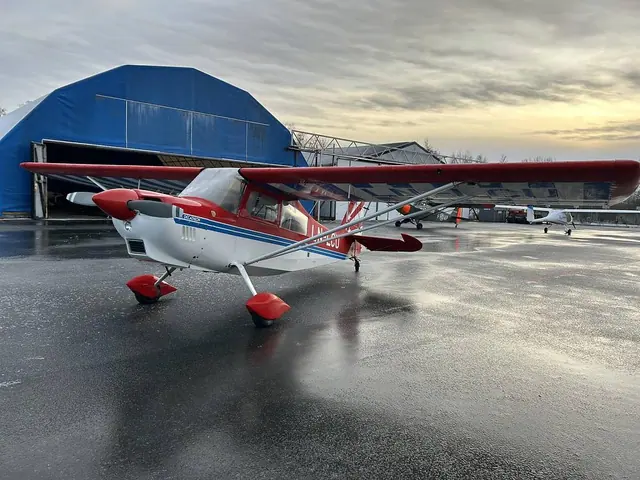 1999 American Champion 8KCAB Super D.
