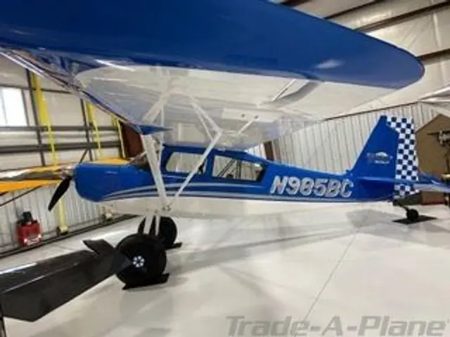 2025 American Champion 8-GCBC Denali Scout (N985BC)