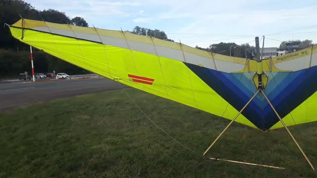 1988 Aile pendulaire chronos14