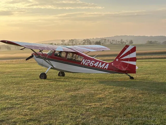 2004 Citabria