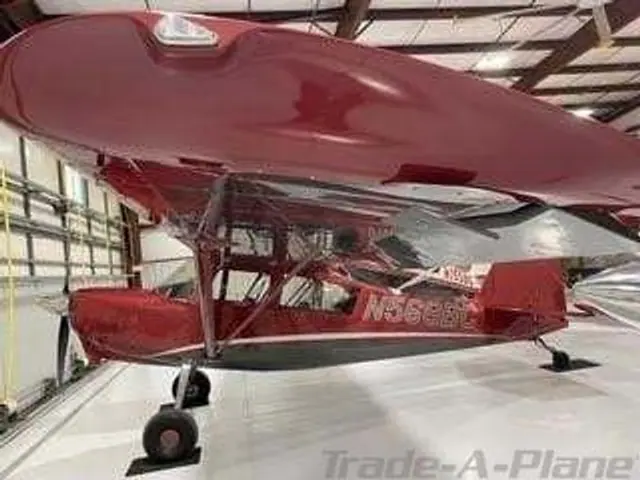 2024 American Champion 8-GCBC Scout (N568BC)
