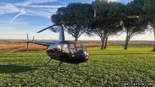 2010 Robinson R44