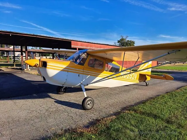 1974 Bellanca Citabria