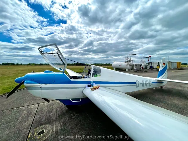 1975 SF 25 C Falke
