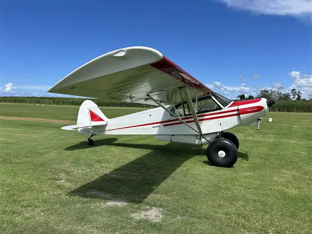 2010 Piper Super Cub Javron Experimental