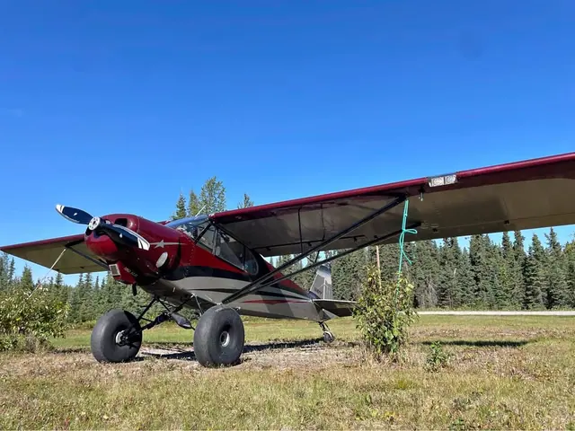 2014 Piper Experimental SuperCub 180hp